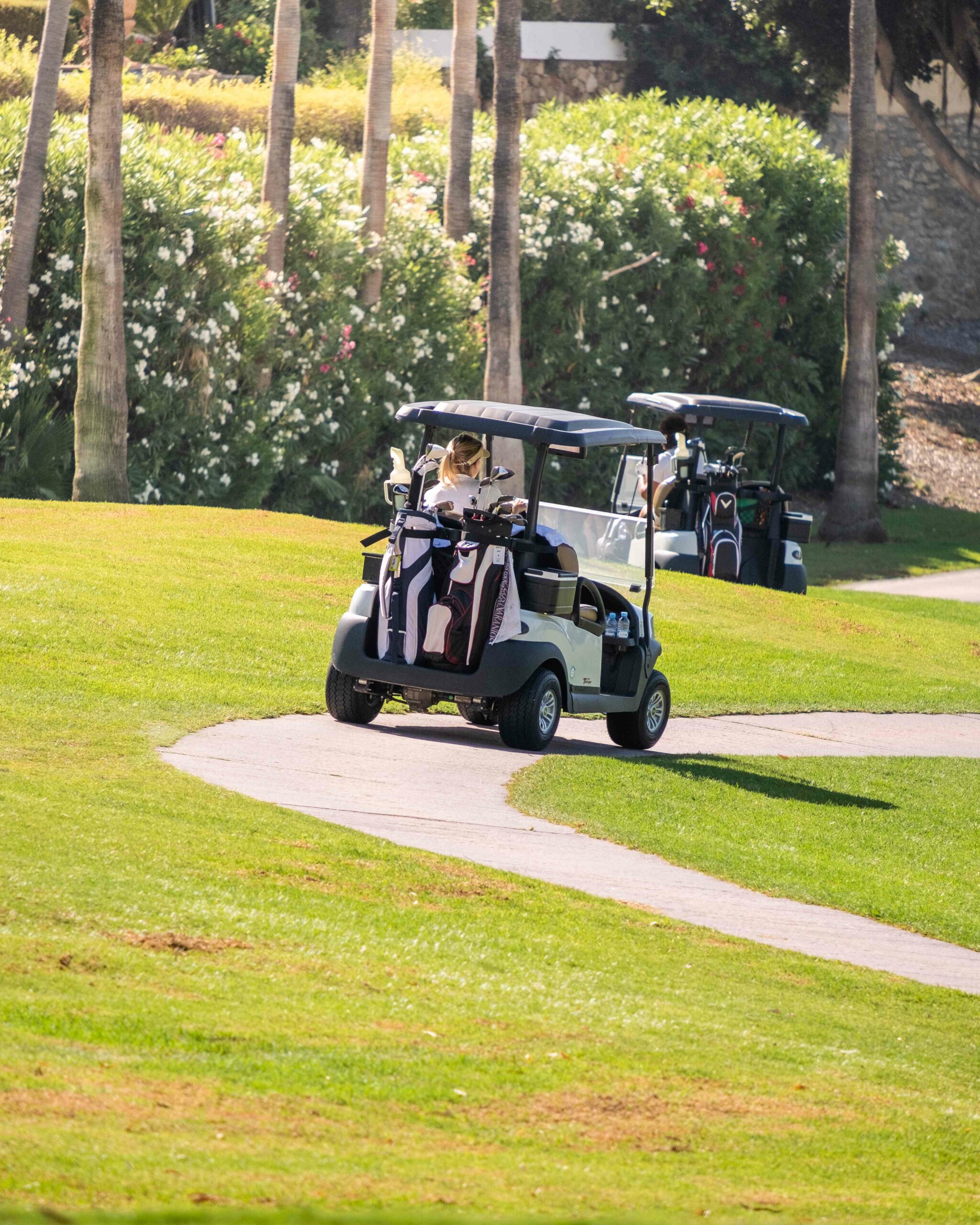 The Minimum Number of Clubs in Golf Bag - Costa Del Sol Golf Club